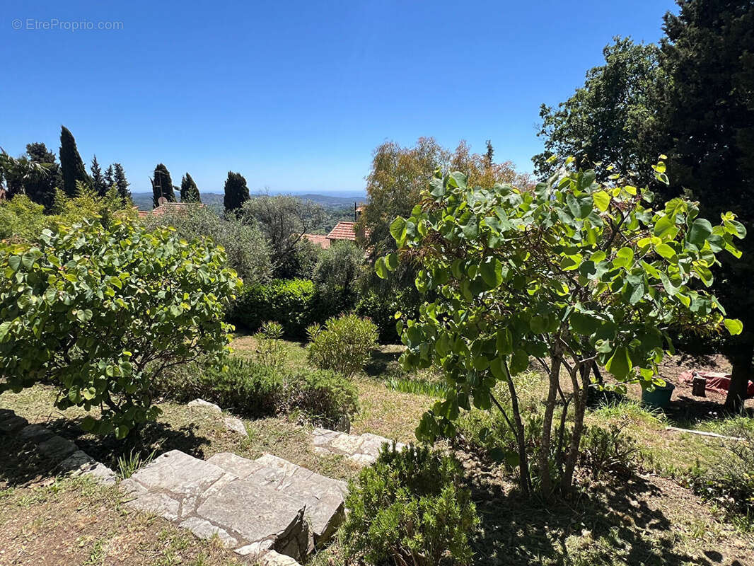 Magagnosc : Maison familiale avec vue mer exceptionnelle - photo 13