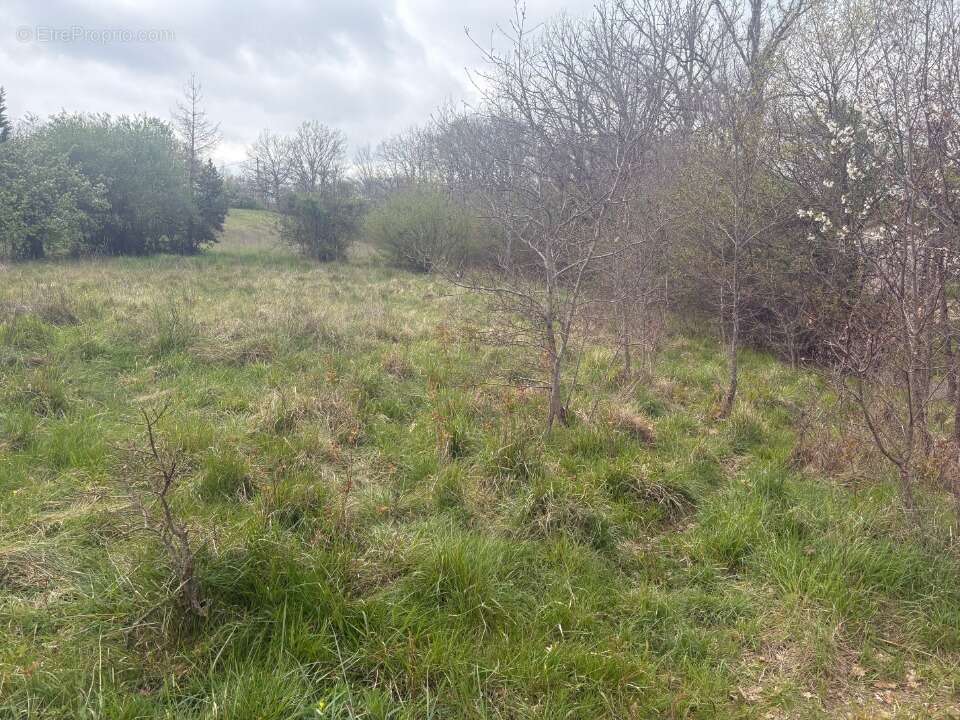 Terrain à BESSIERES