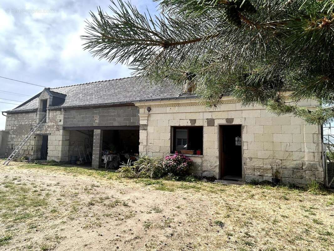 Photo 2 - Maison à CHOUZE-SUR-LOIRE