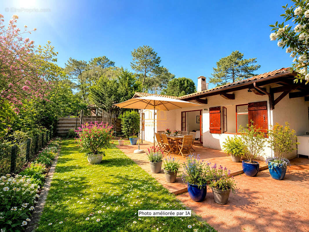 Maison à LE BOUSCAT