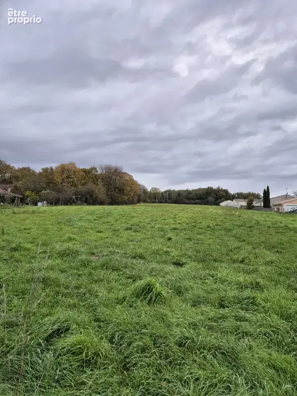 Terrain à GOND-PONTOUVRE