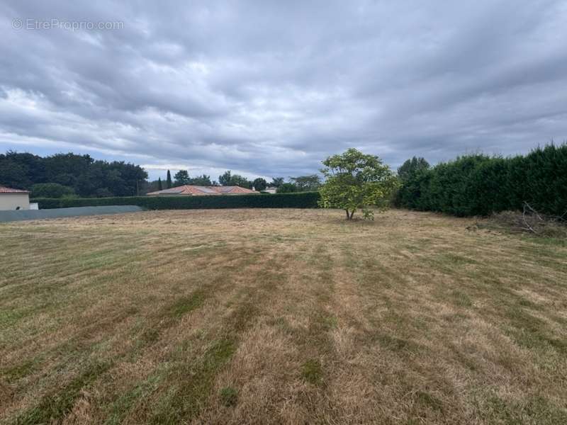 Terrain à LAYRAC