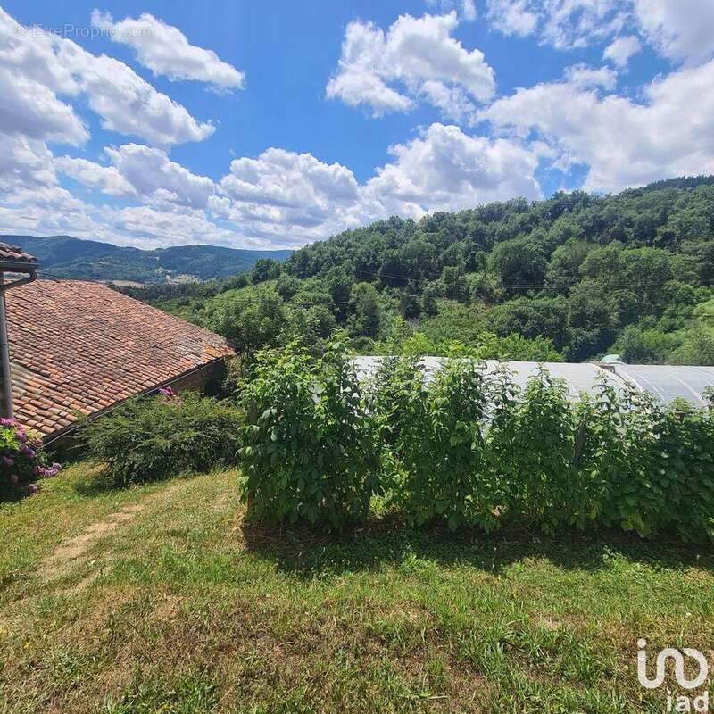 Photo 8 - Maison à BOURG-ARGENTAL