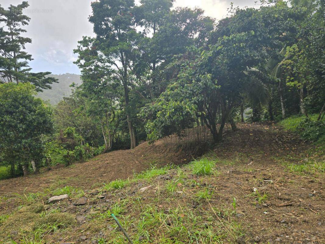 Terrain à FORT-DE-FRANCE