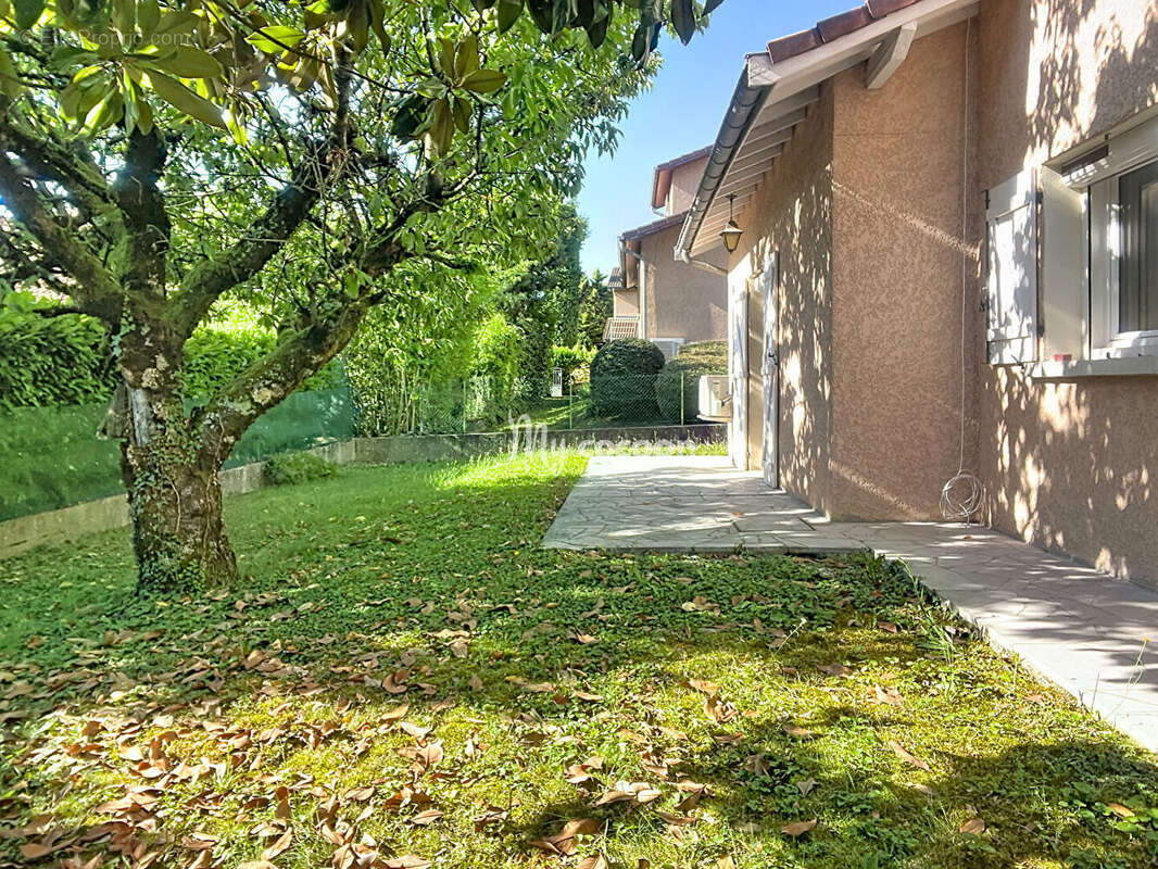 Maison à CHASSIEU