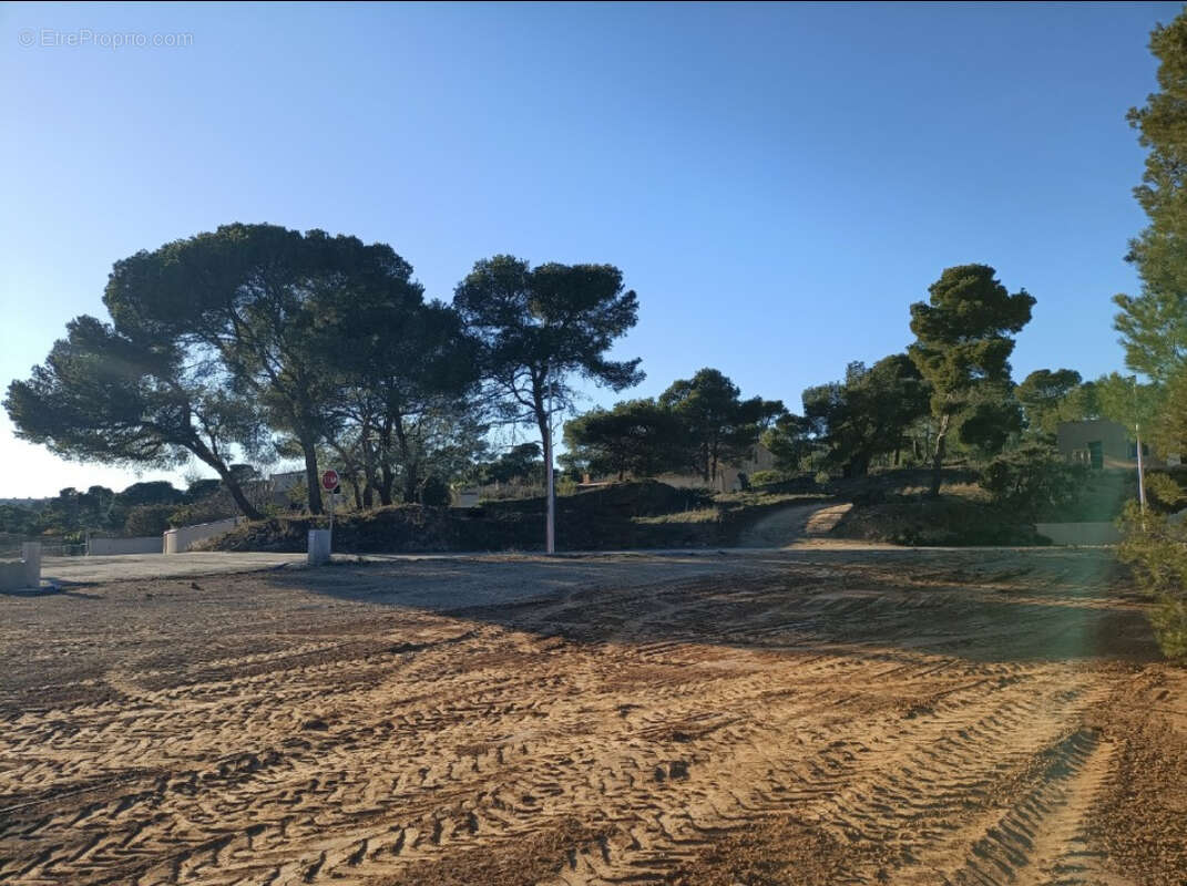 Construisez dans le quartier prisé de la Pinède ! - photo 6
