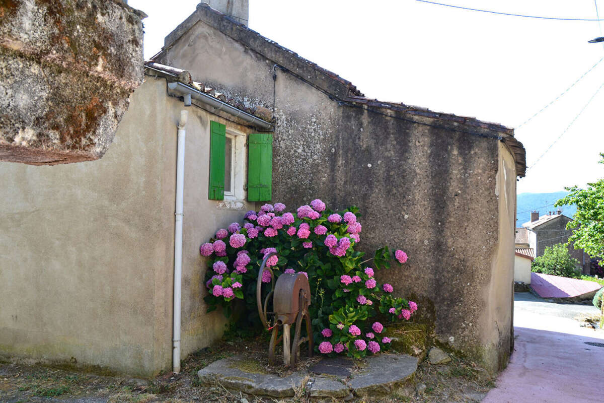 Courniou dans hameau Maison  ancienne avec joli jardin - photo 3