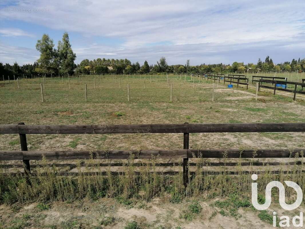 Photo 3 - Maison à BEAUCAIRE