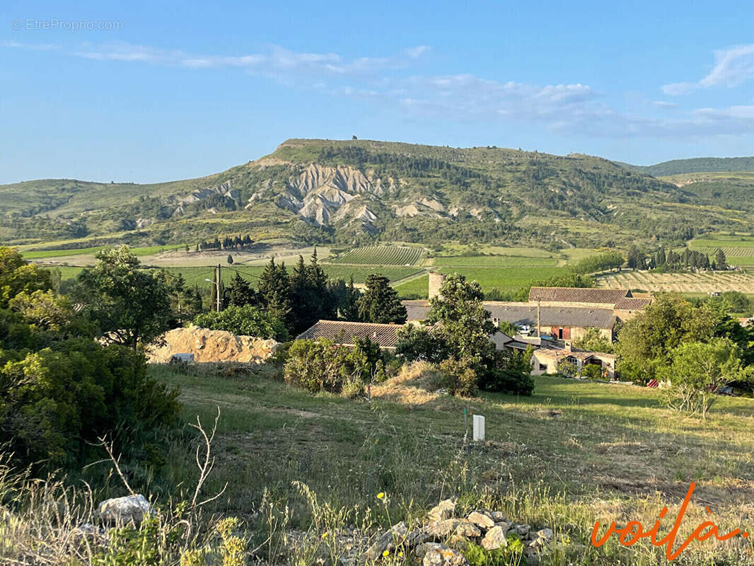 Terrain à MONTLAUR