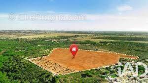 Photo 1 - Terrain à DOLUS-D&#039;OLERON