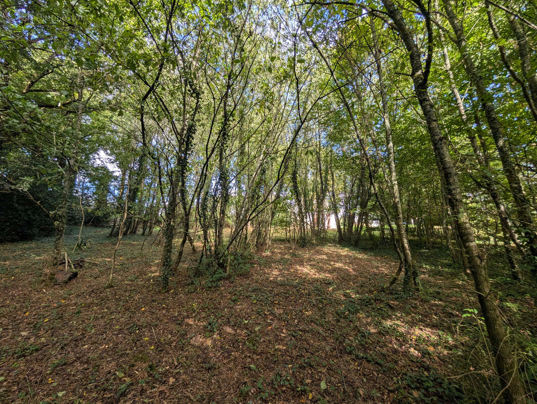 Maison à SAINT-MALO-DE-BEIGNON