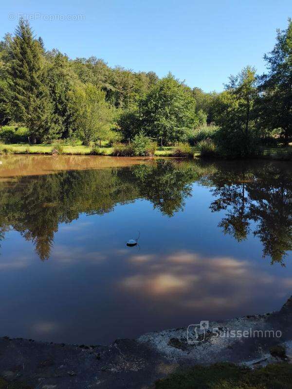 Frahier, au calme Etang dans un cadre verdoyant - photo 3