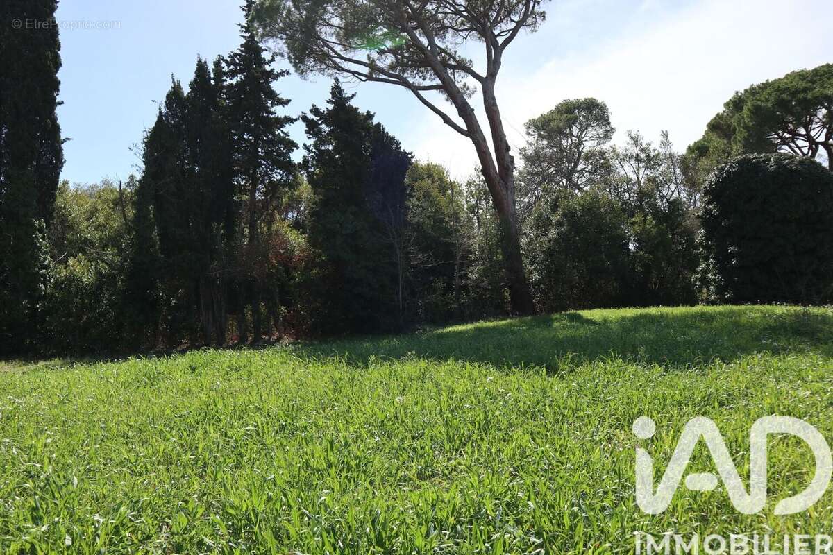 Photo 4 - Terrain à ESCALES