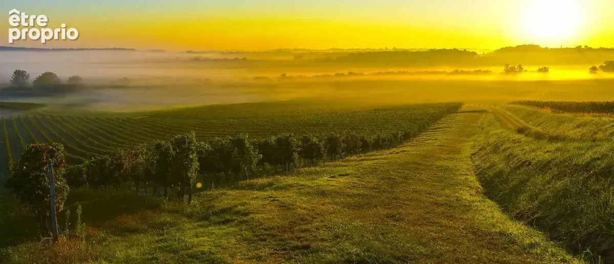 Terrain à VENDRENNES