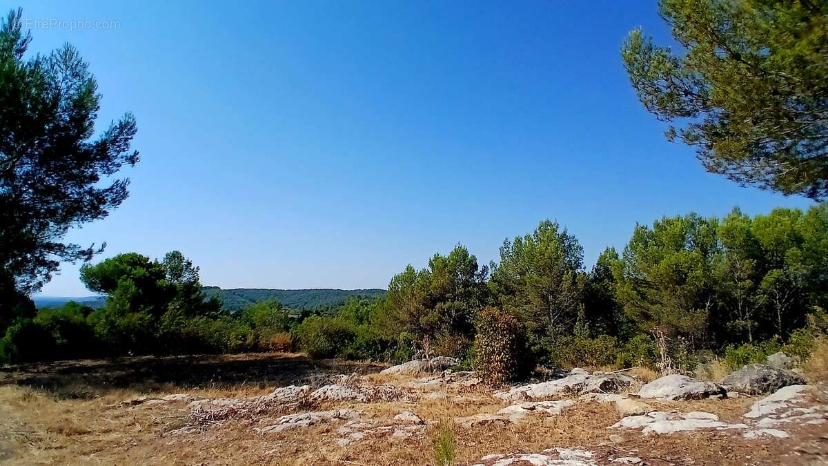 Villa unique de 220 m² habitables sur un terrain de 11651 m² - photo 3