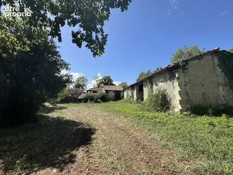 Ancien moulin a rénover avec 10ha - photo 7