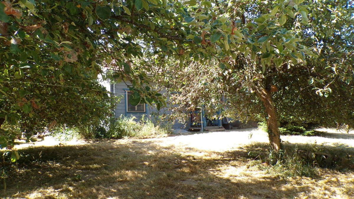Chalet finlandais en bois à Saint-Saturnin   situé au calme sur plus d'un hectare avec une forêt nourricière - photo 12