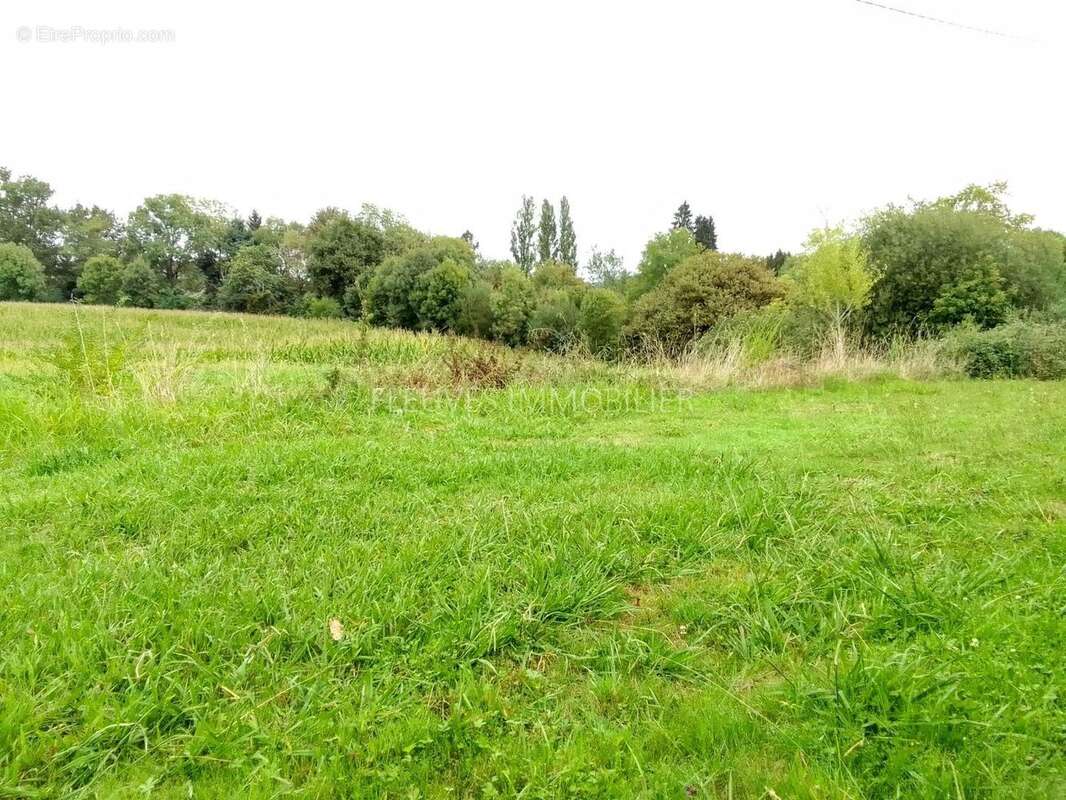 Terrain à NAVARRENX