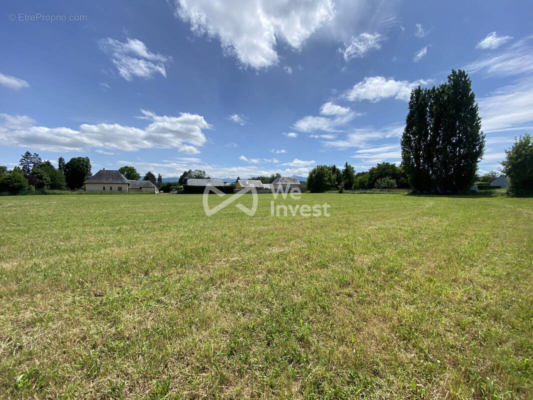 Terrain à LAMARQUE-PONTACQ