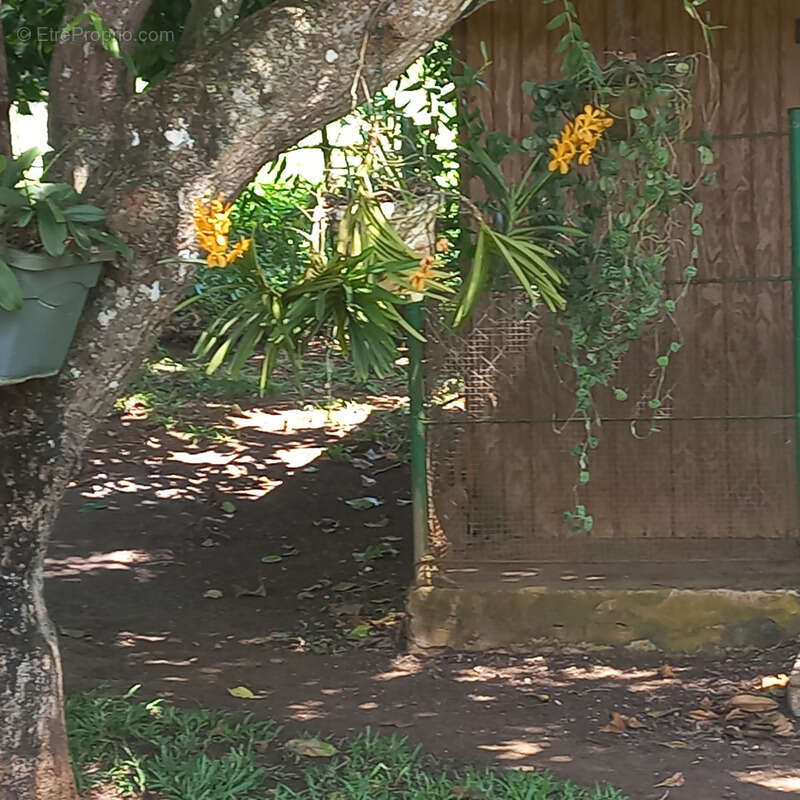 Maison à PETIT-BOURG