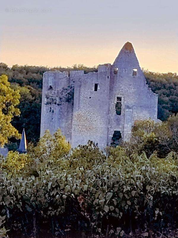 Maison à ANGLES-SUR-L'ANGLIN