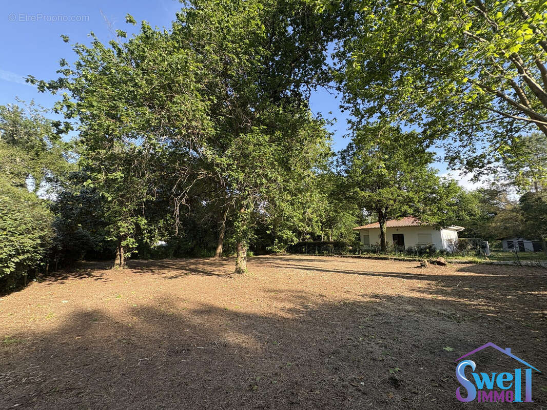 Terrain à MESSANGES