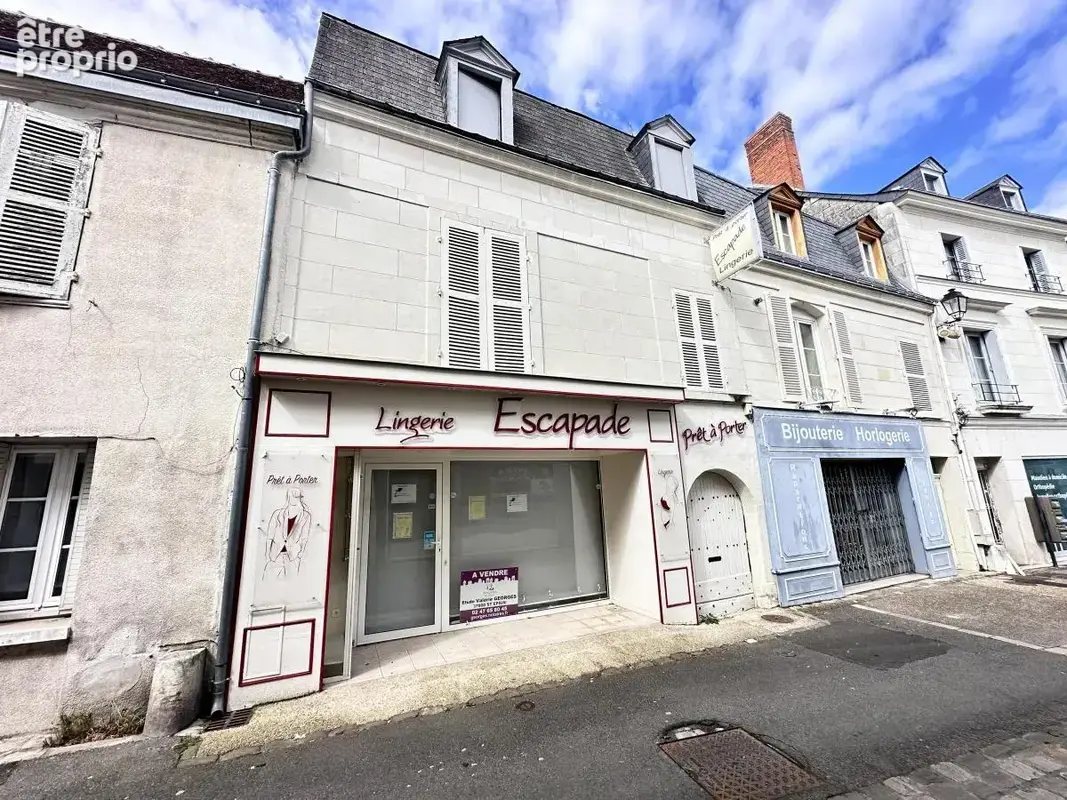 Commerce à SAINTE-MAURE-DE-TOURAINE