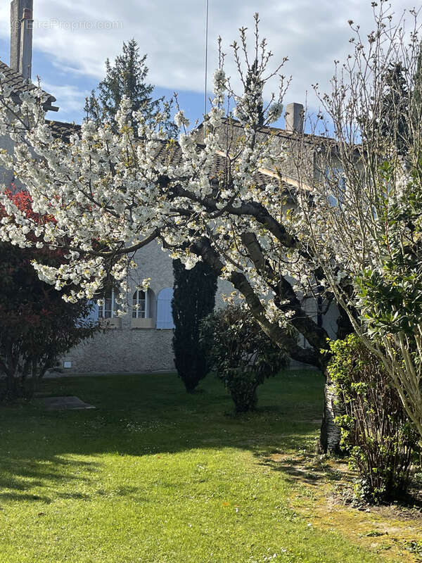 Maison à CAVAILLON