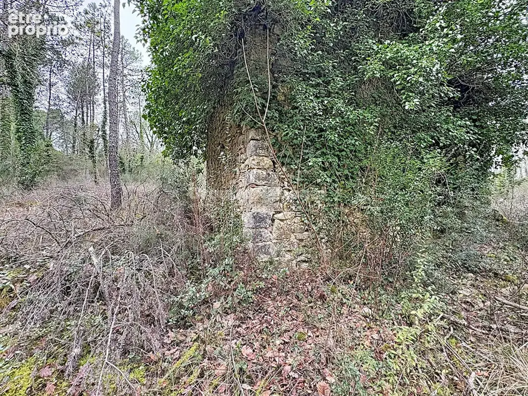 Terrain callian - photo 4