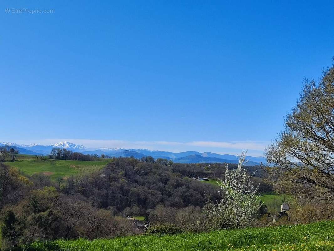 Maison à LUCQ-DE-BEARN