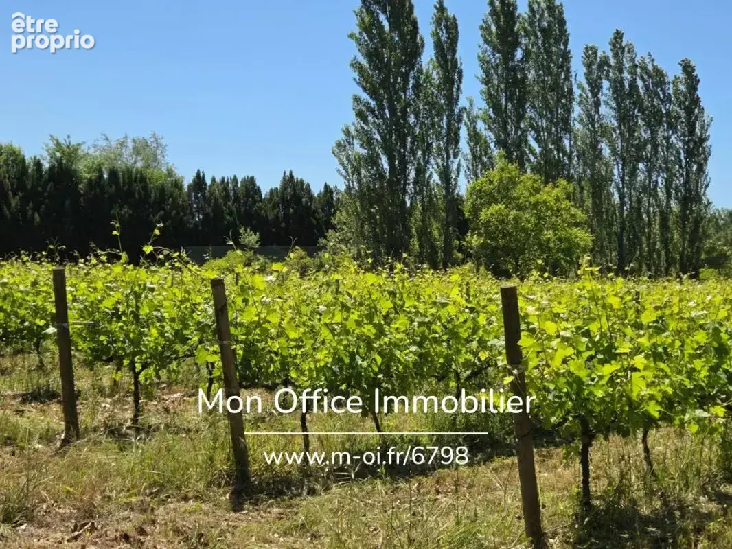 Référence : 6798-CCH. - Bastidon en pierre avec oliveraie et petite vigne - photo 19