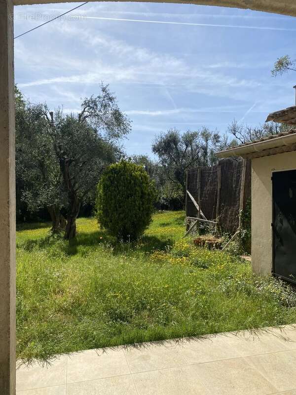 Mougins- propriete de 10 pieces  sur 6800 m² de terrain clos et arbore, ideal chambres d'hotes - photo 6