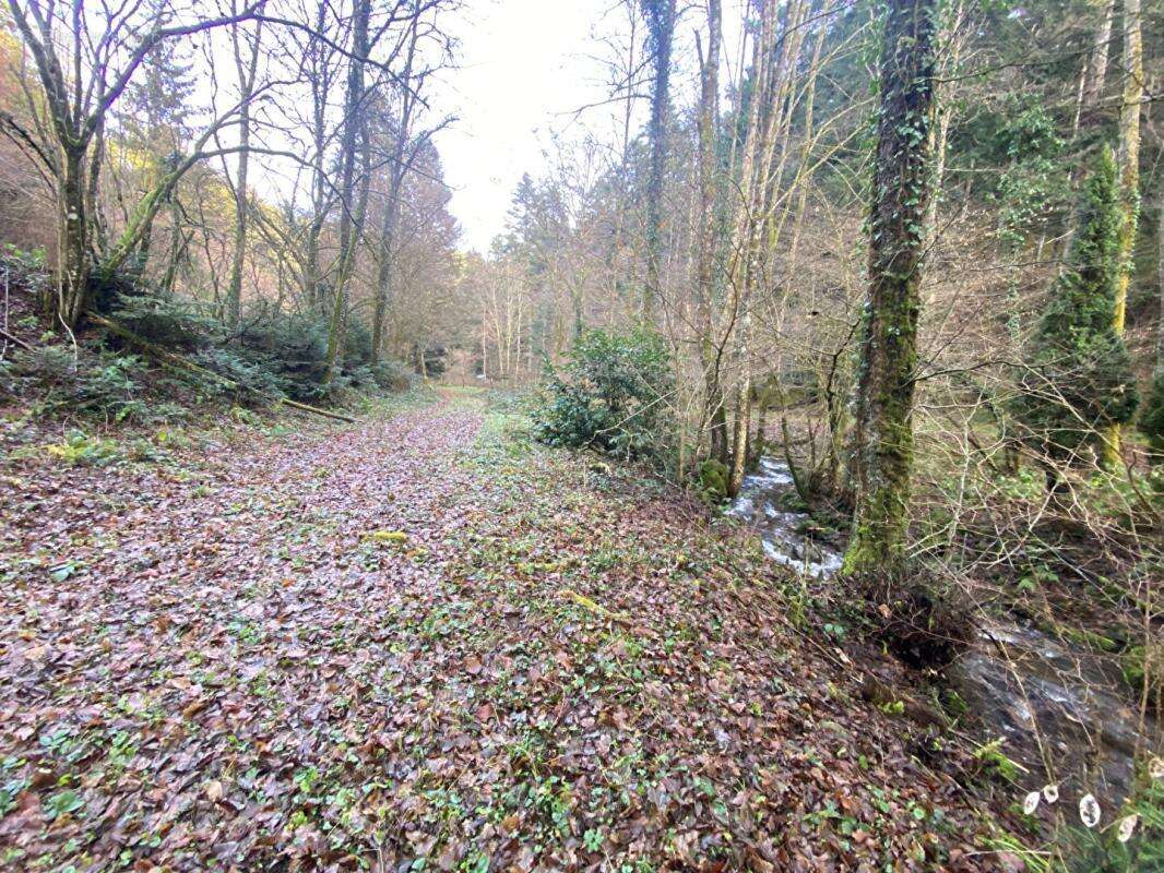 Terrain à WILLER-SUR-THUR