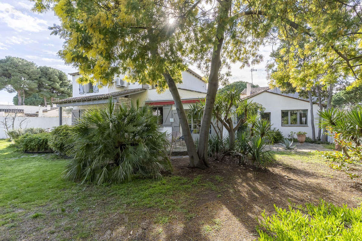 Maison à LA GRANDE-MOTTE