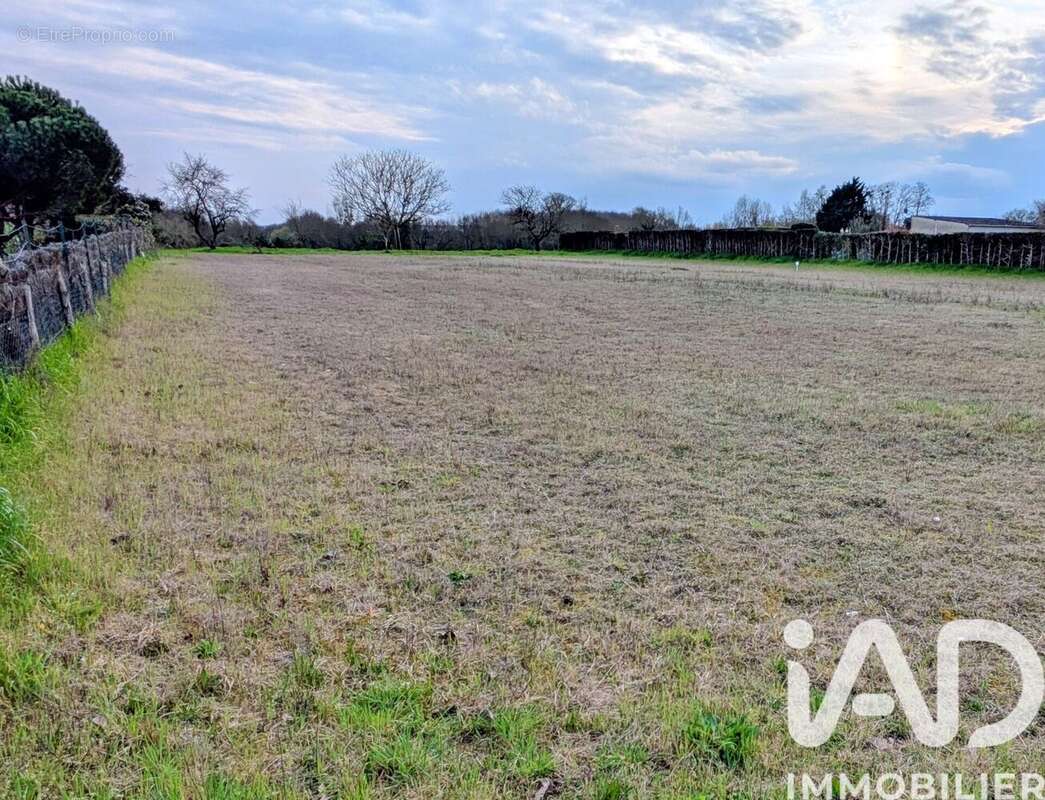 Terrain 1223 m² à Beaufort-En-Vallee  - photo 3