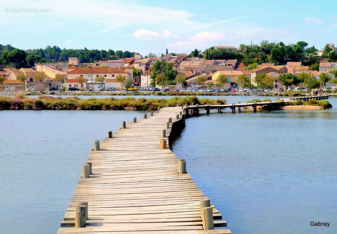 Rare......une maison: 2 appartements. une terrasse avec vue sur etang - photo 9