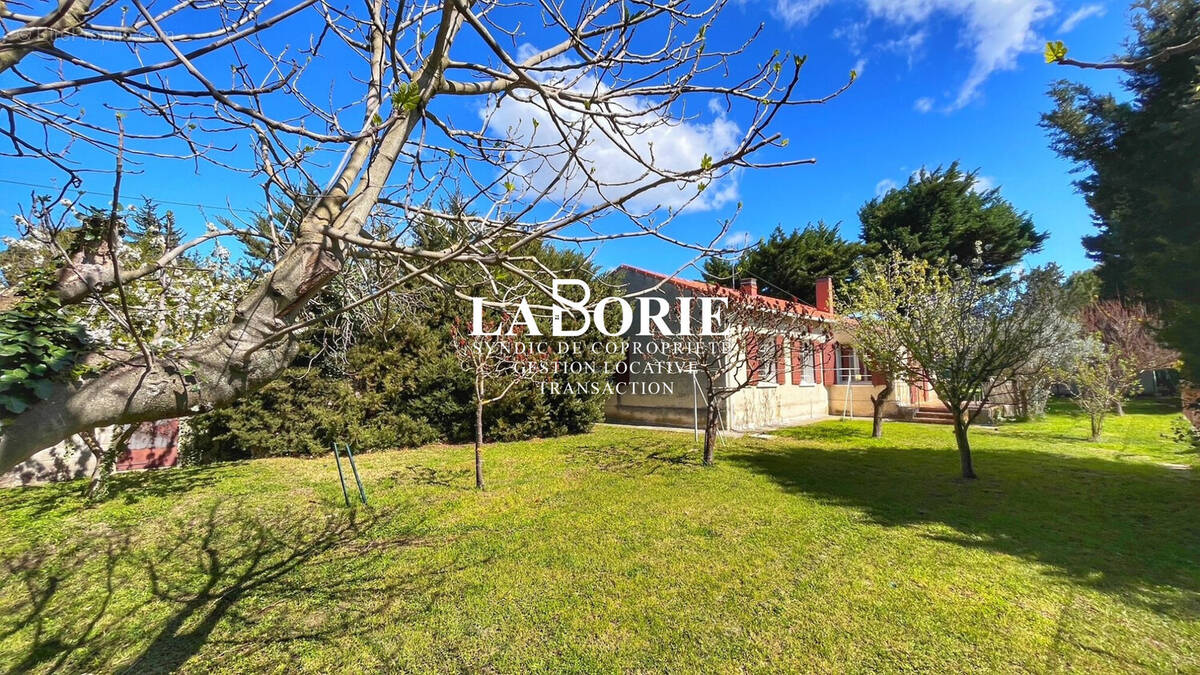 Maison à ENTRAIGUES-SUR-LA-SORGUE