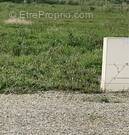 Terrain à LA PLAINE-SUR-MER