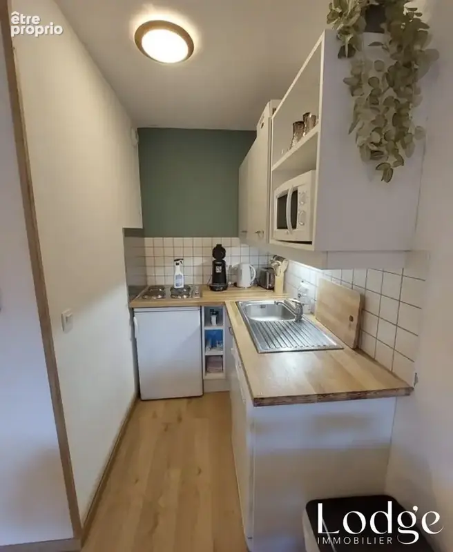 Appartement 3 pièces 32 m² à vendre à Puy-Saint-Vincent (05290) - photo 3