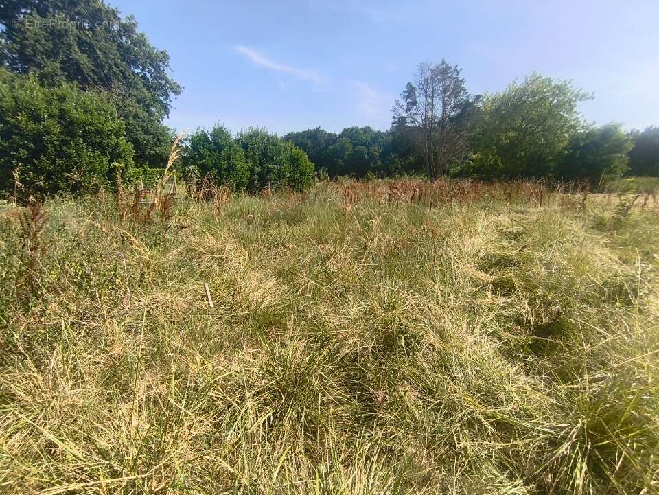 Terrain à MEDIS