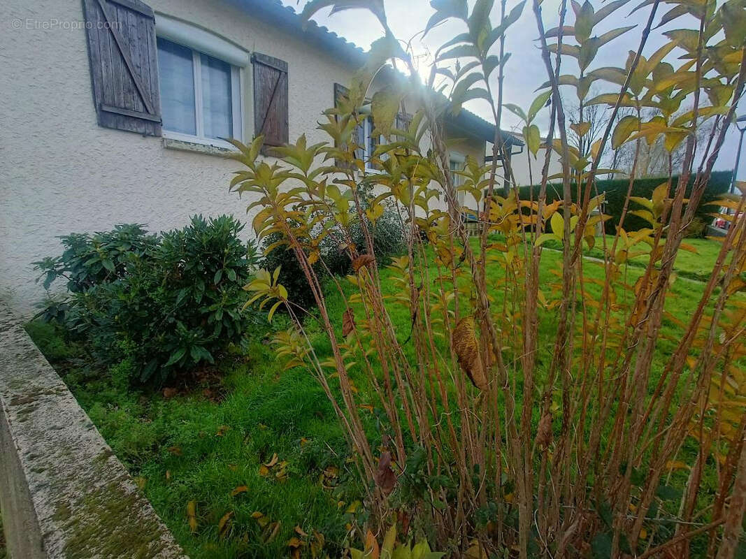 Maison à LES EPESSES