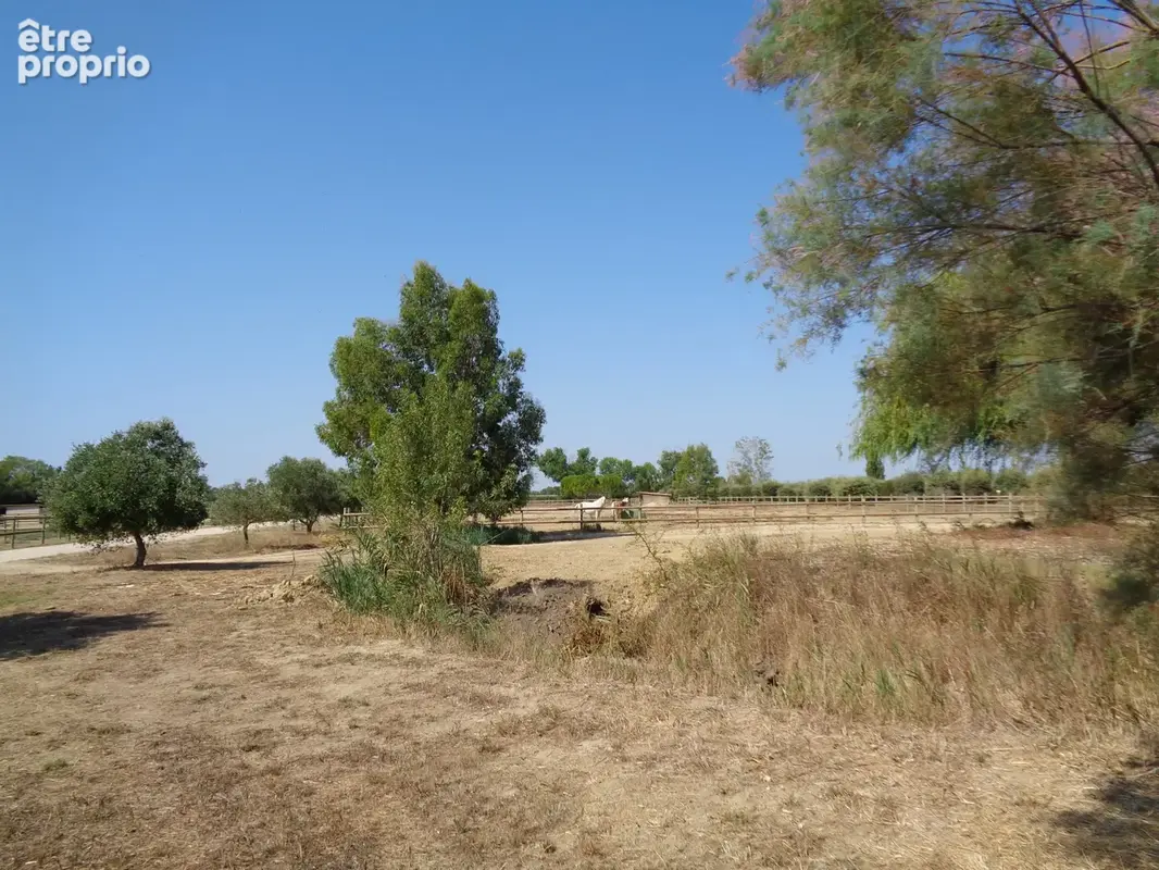 Herault Propriété d'exeption 800m2 sur 400000m2 - photo 18