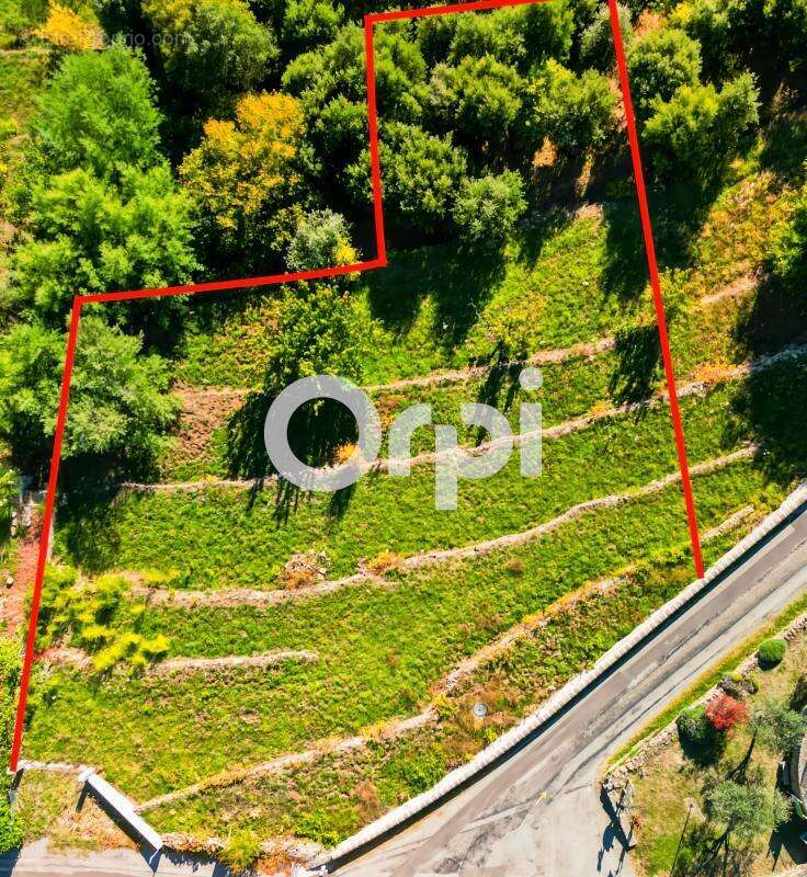 Terrain à PLANZOLLES