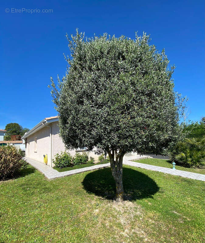 Maison à CARBON-BLANC