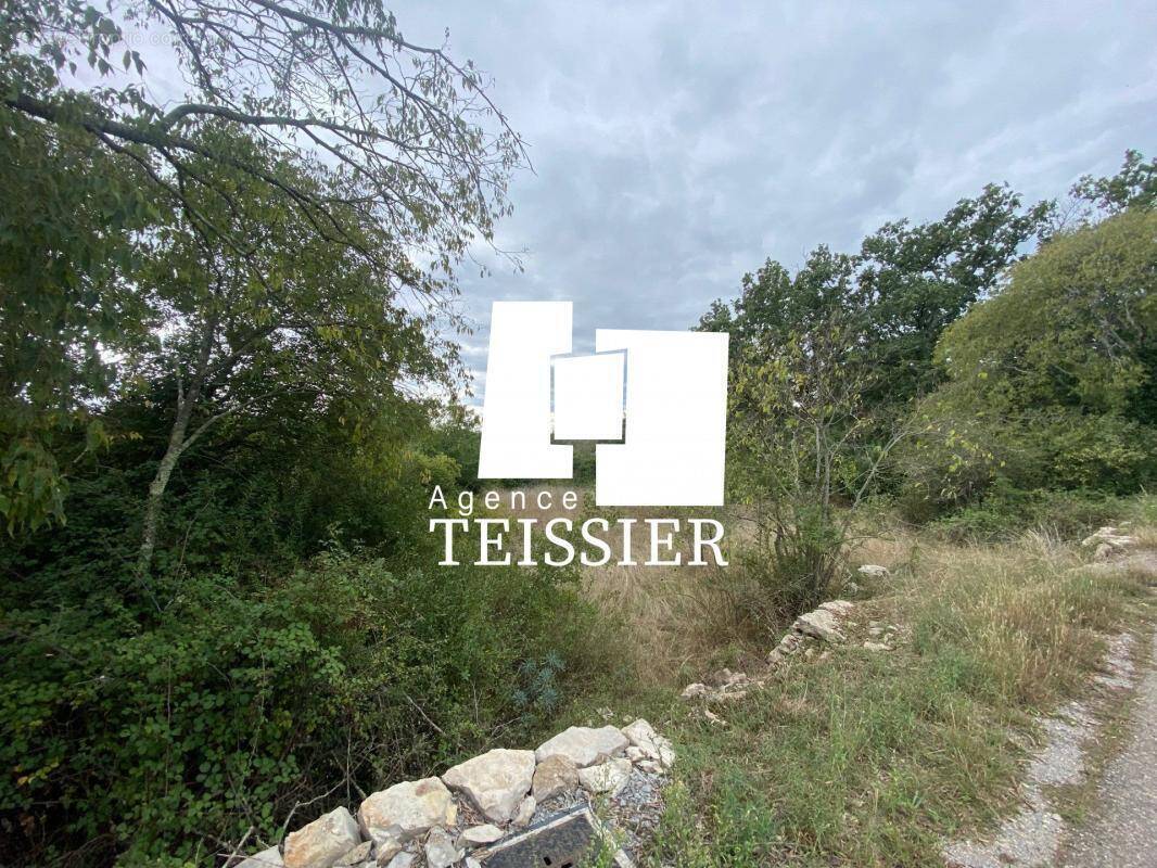 Terrain à CHANDOLAS