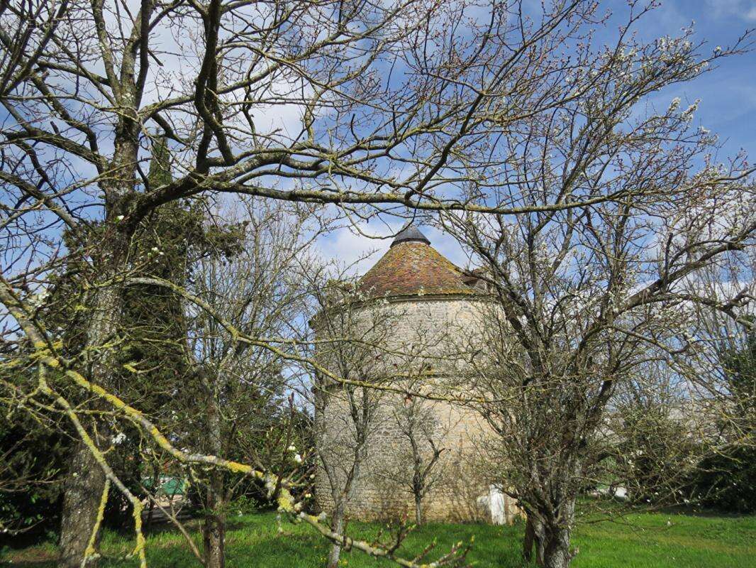 Elégante propriété,  parc et dépendances sur 3 ha - photo 13