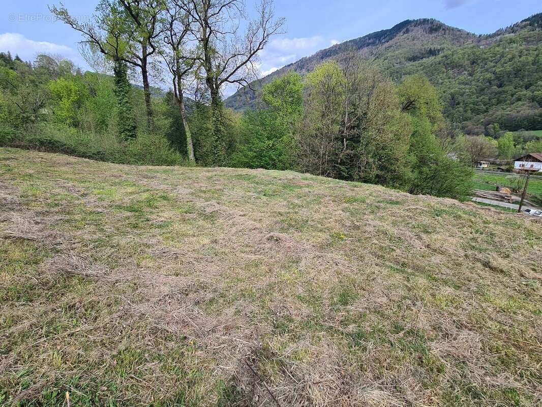 Terrain à MARTHOD