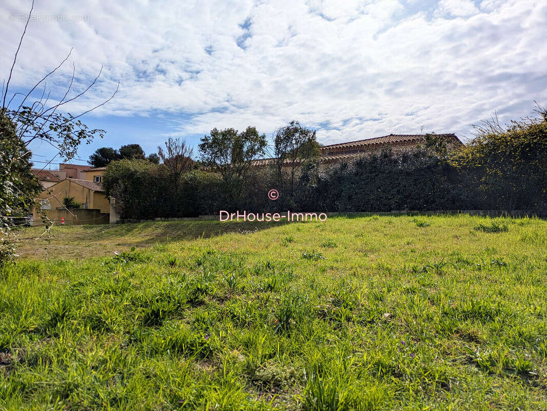 Terrain 548 m² à Montpellier  - photo 6