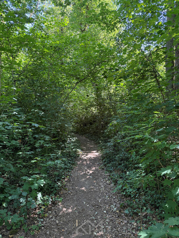 Terrain à SAINT-BENOIT