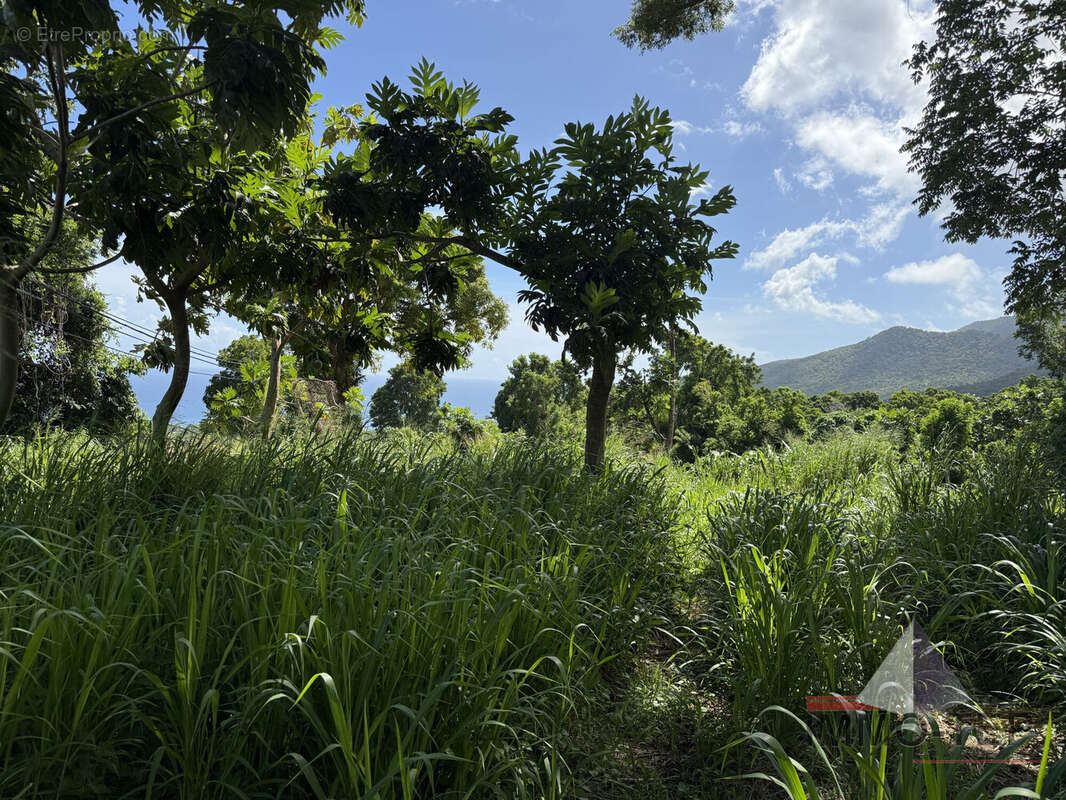 Terrain à TROIS-RIVIERES